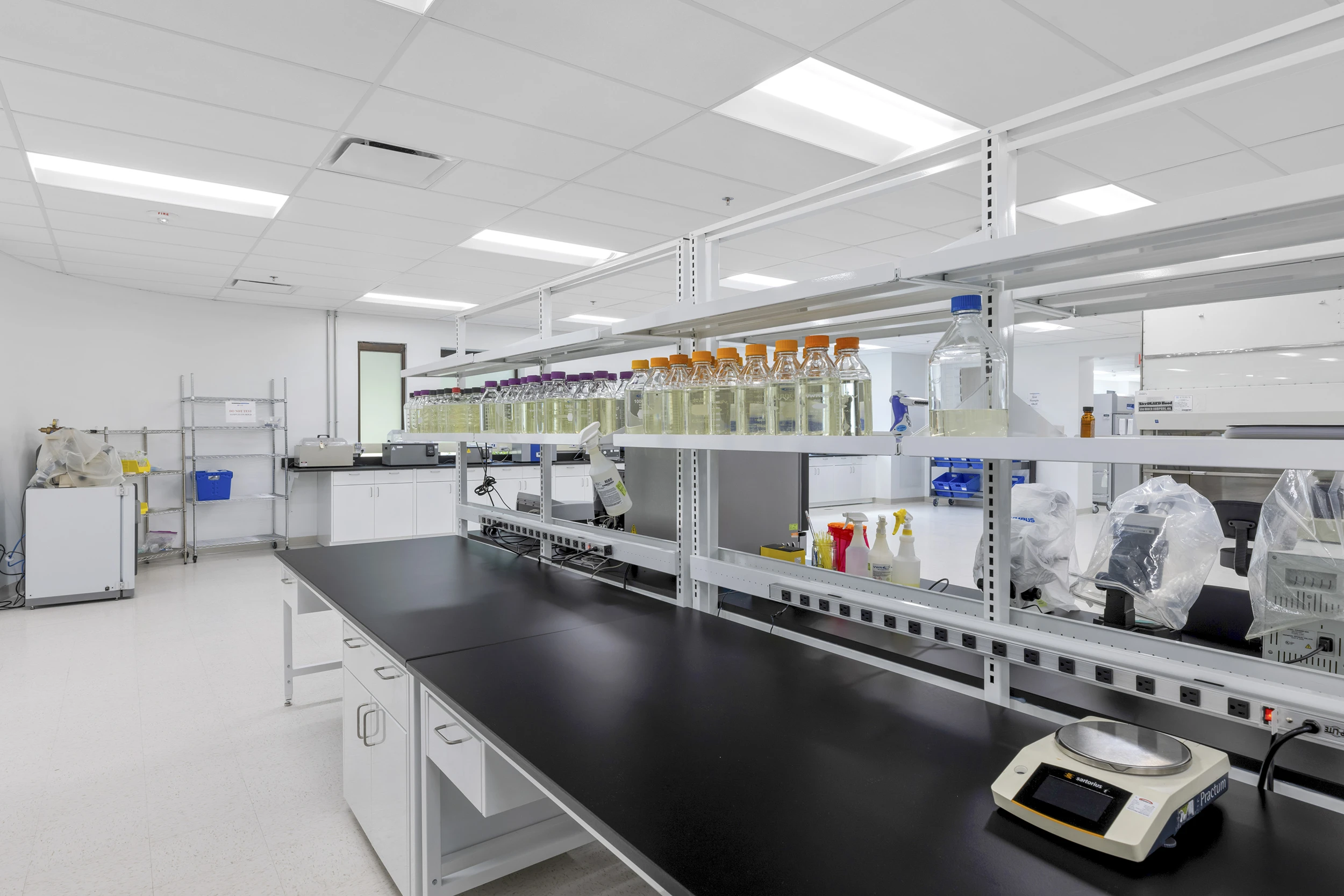 Elisif_20240620_1651-websize